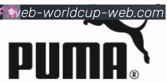 FIFA世界杯买球入口合作伙伴